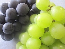 IMG_05391