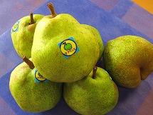IMG_0927