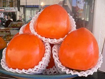 P1020506